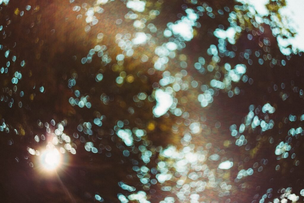 Macular Degeneration